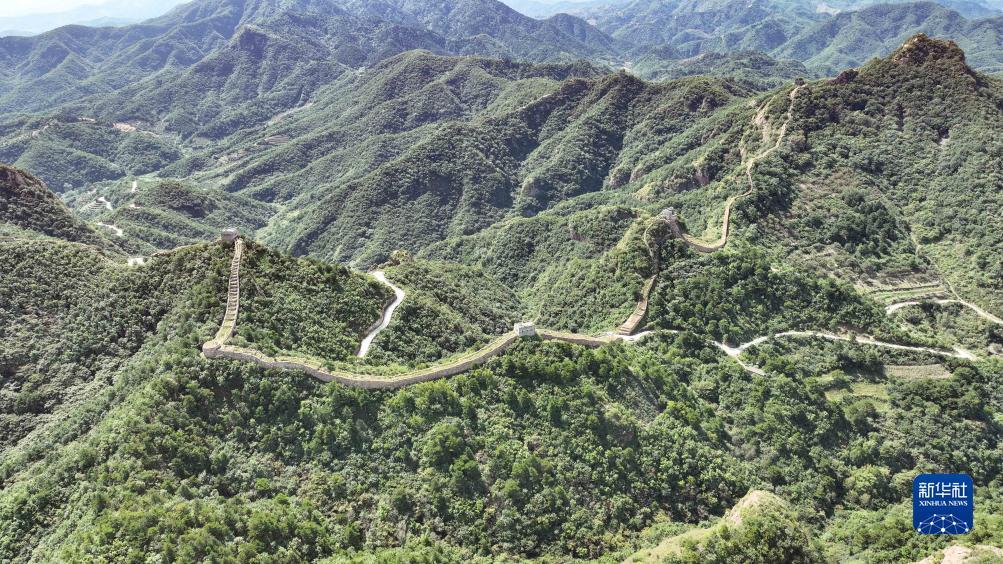 玛丽水果机苹果版下载